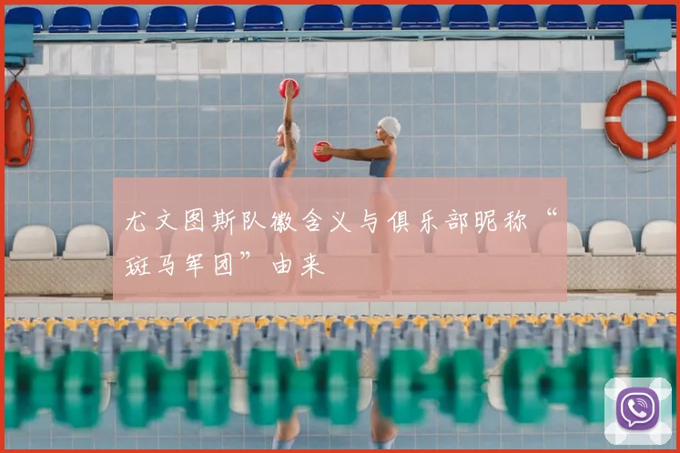 尤文图斯队徽含义与俱乐部昵称“斑马军团”由来
