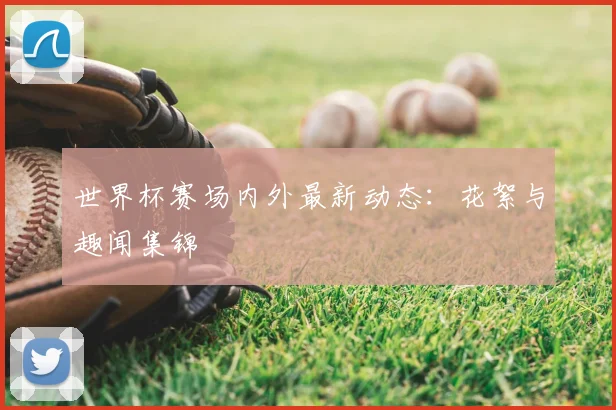 世界杯赛场内外最新动态：花絮与趣闻集锦