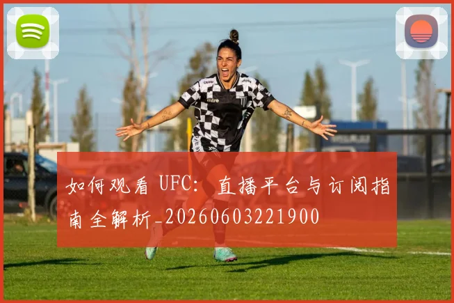 如何观看 UFC:直播平台与订阅指南全解析_20260603221900