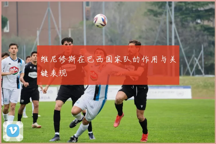 维尼修斯在巴西国家队的作用与关键表现