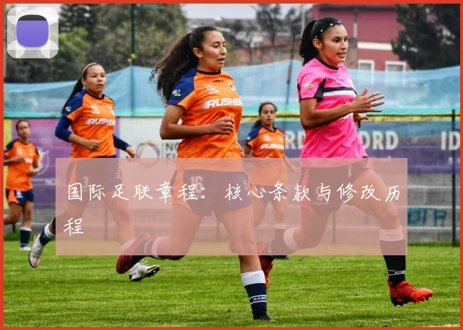 国际足联章程:核心条款与修改历程